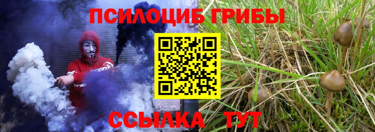 Псилоцибиновые грибы Magic Shrooms  купить  сайты  Иваново  Вход с VPN 